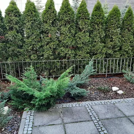 Apartament Pan Tadeusz Zablockiego Bazantow Apartment *