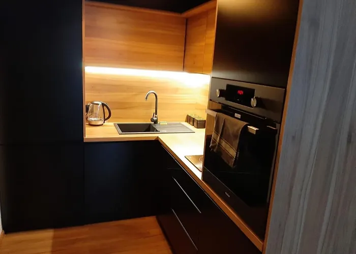 Apartament Pan Tadeusz Zablockiego Bazantow Appartement Katowice